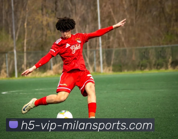 App Interface Preview